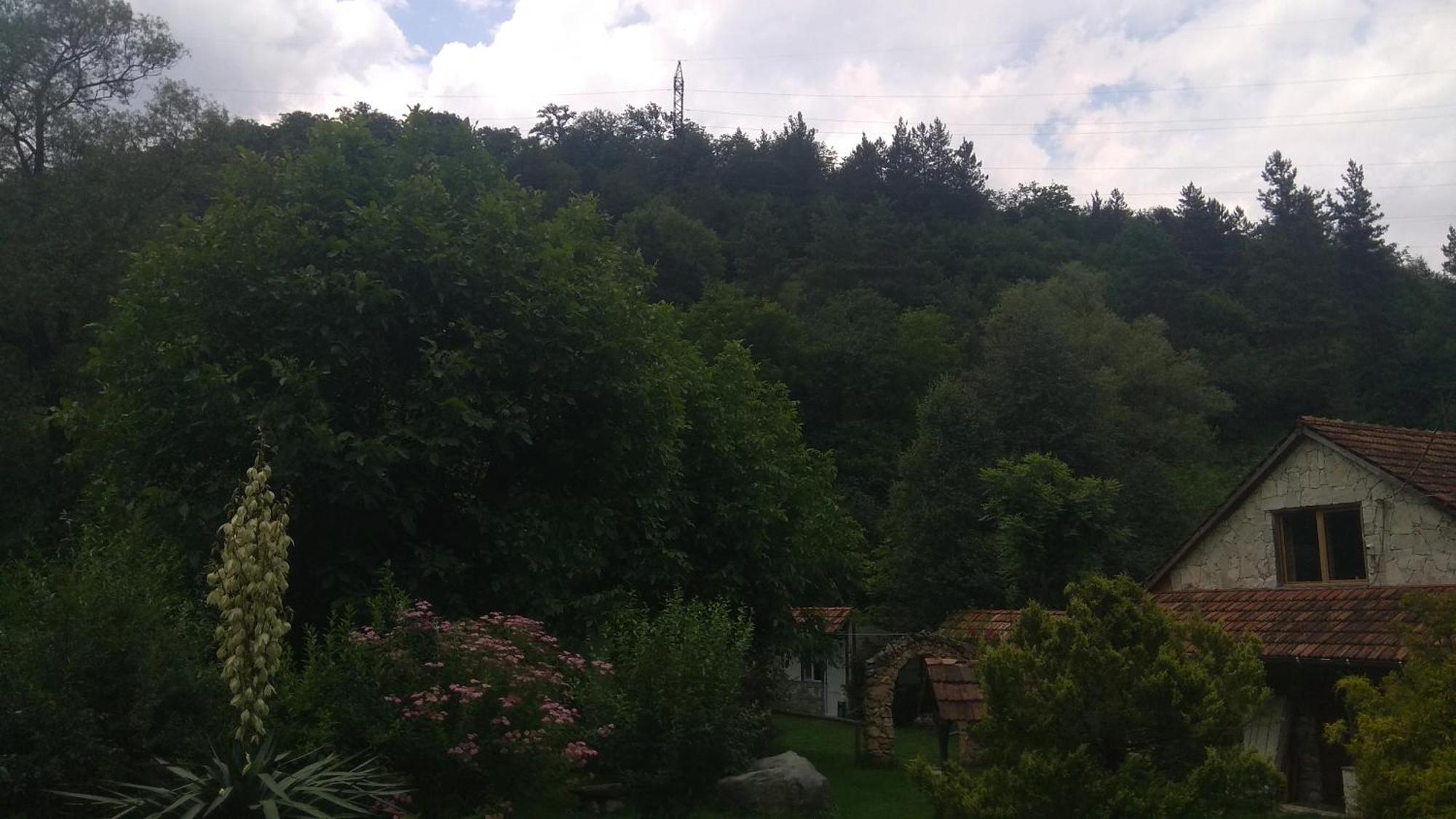 Eco Garden Bed & Breakfast Dilijan Eksteriør bilde